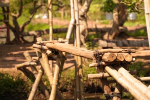 Vanuit Ho Chi Minhstad: 3-daagse Mekong Delta-tour naar Phnom Penh