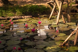 Ho Chi Minh Citystä: 3 päivän Mekong Delta Tour Phnom Penhiin