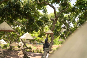 Vanuit Ho Chi Minhstad: 3-daagse Mekong Delta-tour naar Phnom Penh