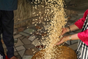 Vanuit Ho Chi Minhstad: 3-daagse Mekong Delta-tour naar Phnom Penh