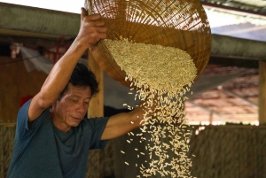 Ho Chi Minh Citystä: 3 päivän Mekong Delta Tour Phnom Penhiin