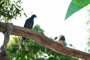 Ho Chi Minh Citystä: 3 päivän Mekong Delta Tour Phnom Penhiin