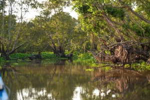 Från Ho Chi Minh City: 3-dagars Mekong Delta Tour till Phnom Penh