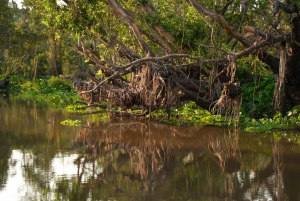 Ho Chi Minh Citystä: 3 päivän Mekong Delta Tour Phnom Penhiin