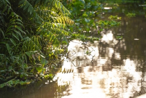 Ho Chi Minh Citystä: 3 päivän Mekong Delta Tour Phnom Penhiin