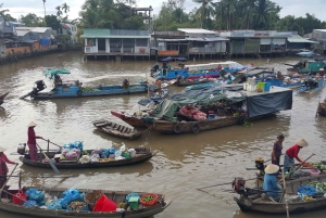 Mekong Day Tour by Car: Floating market, Cooking & Cycling