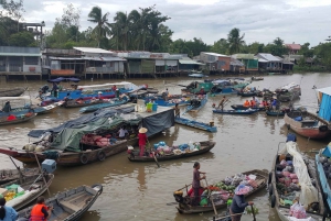 Mekong Day Tour by Car: Floating market, Cooking & Cycling