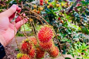 Mekong Delta 2 days Tour :Explore Cai Rang Floating Market