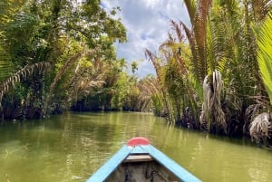 Ho Chi Minh: Mekong Delta & Floating Market 2-Day Group Tour