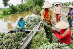 Delta del Mekong: gita di 1 giorno autentica con Pineapple Kingdom