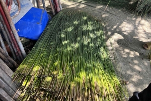 Delta del Mekong: gita di 1 giorno autentica con Pineapple Kingdom