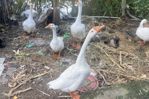 Delta del Mekong: gita di 1 giorno autentica con Pineapple Kingdom