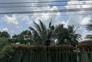 Delta del Mekong: gita di 1 giorno autentica con Pineapple Kingdom