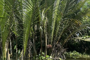 Delta del Mekong: gita di 1 giorno autentica con Pineapple Kingdom