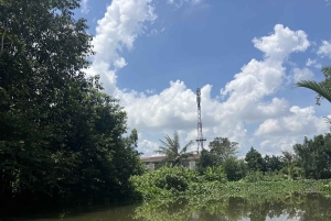 Delta del Mekong: gita di 1 giorno autentica con Pineapple Kingdom