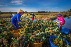 Delta del Mekong: gita di 1 giorno autentica con Pineapple Kingdom