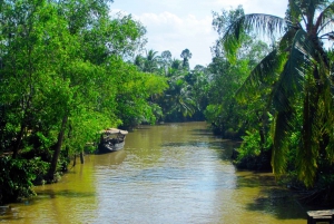 From Ho Chi Minh City: Mekong Delta VIP Tour by Limousine