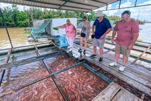 Tour di 1 giorno del Delta del Mekong 'meno conosciuto' di My Tho e Ben Tre