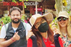 Mekong Delta: My Tho & Ben Tre heldagstur i lille gruppe