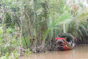 Mekong Delta: My Tho & Ben Tre heldagsutflykt i liten grupp