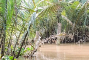 Mekong-deltaet: My Tho & Ben Tre dagsudflugt i lille gruppe