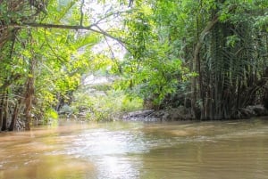 Mekong Delta: My Tho & Ben Tre heldagsutflykt i liten grupp