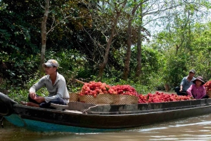 From Ho Chi Minh: Mekong Delta Private Full-Day Trip