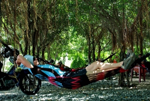 From Ho Chi Minh: Mekong Delta Private Full-Day Trip