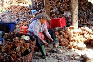 Mekong Delta Real Local Life Experience