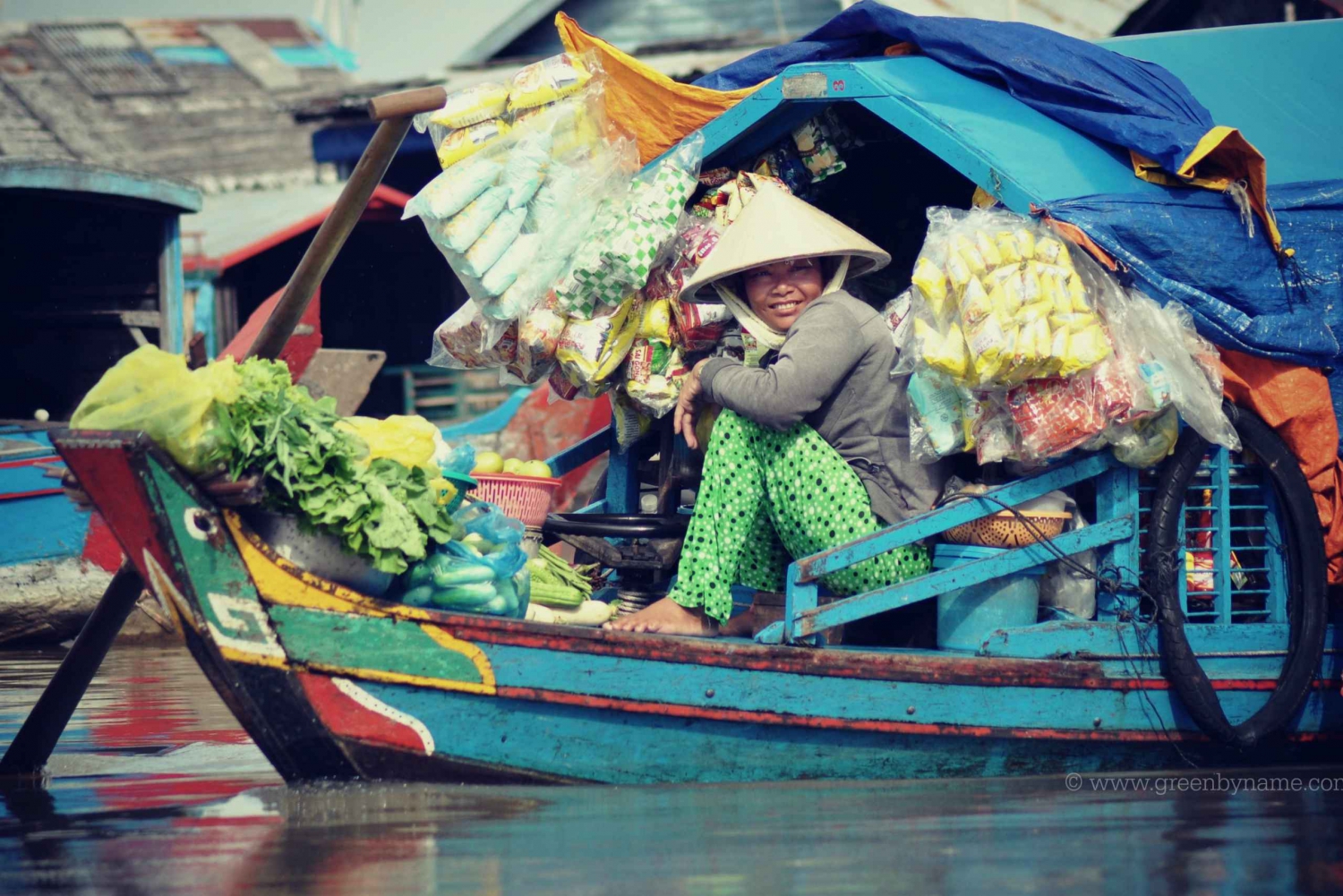 Mekong Delta Small Group W/ Vinh Trang Pagoda & Rowing Boat