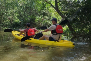 Ciudad Ho Chi Minh: Excursión de 2 días en bici y kayak por el Delta del Mekong