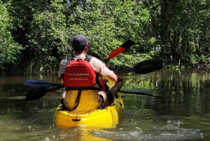 Ciudad Ho Chi Minh: Excursión de 2 días en bici y kayak por el Delta del Mekong