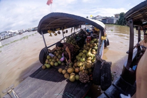 From Ho Chi Minh City: Mekong Delta Tour with Cooking Class