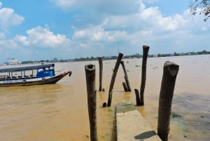 Mekong Delta Tour W/ Row-Boat, Kayak & Small Floating Market