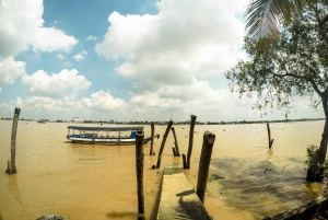 From Ho Chi Minh City: Mekong Delta Tour with Cooking Class