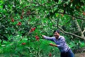 From Ho Chi Minh City: Mekong Delta Tour with Cooking Class