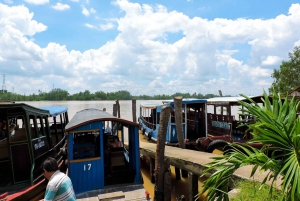 From Ho Chi Minh City: Mekong Delta Tour with Cooking Class