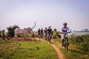 Mekong Islands: Rural Half-Day Bike Tour