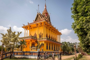 Mekong Islands: Rural Half-Day Bike Tour