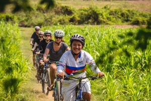 Mekong Islands: Rural Half-Day Bike Tour