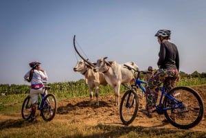 Mekong Islands: Rural Half-Day Bike Tour