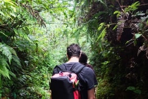 Mountain Views And Villages Trek
