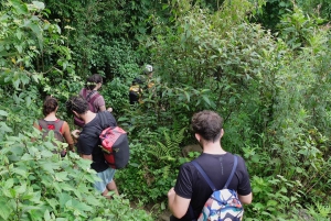 Mountain Views And Villages Trek