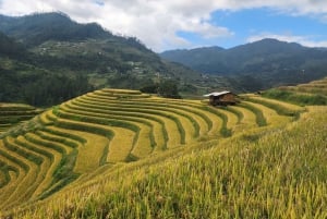Mu Cang Chai: 2-Day Motorbike Tour to Sapa with Homestay