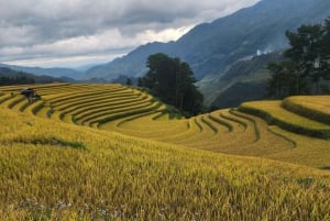 Mu Cang Chai: 2-Day Motorbike Tour to Sapa with Homestay