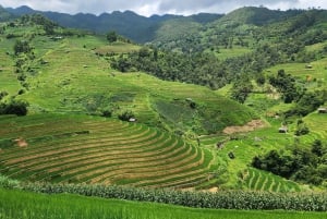 Mu Cang Chai: 2-Day Motorbike Tour to Sapa with Homestay