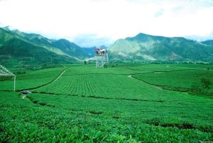 Mu Cang Chai: 2-Day Motorbike Tour to Sapa with Homestay