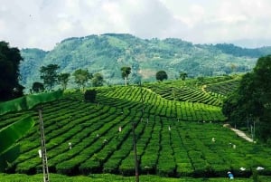 Mu Cang Chai: 2-Day Motorbike Tour to Sapa with Homestay