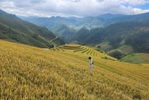 Mu Cang Chai: tour in moto di 2 giorni a Sapa con alloggio in famiglia