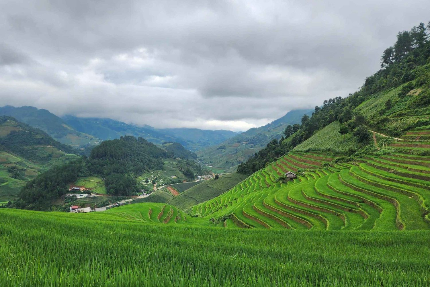 Mu Cang Chai: Full-Day Trek with Lunch and Batik Workshop